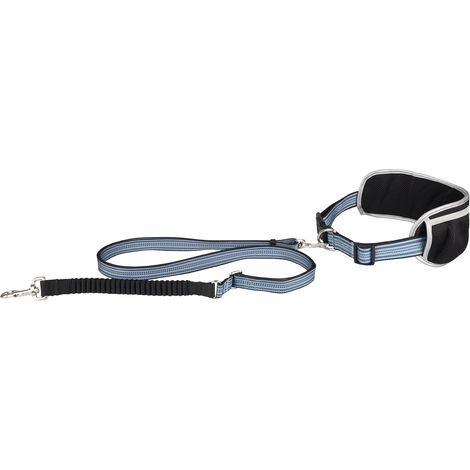 Laisse de Jogging pour Chien avec Ceinture Ventrale bleu (1/5)