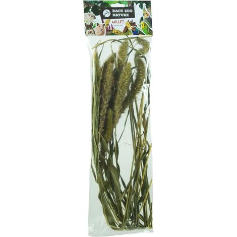 Zoo Nature's Fuchsschwanz-Bouquet Setaria Körnerbouquet für alle Papageien 30g (1/5)