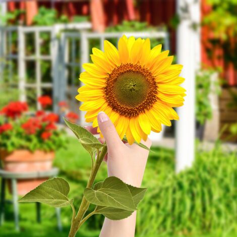 BUNTHAUS Tournesol tridimensionnel en acrylique pour sol de patio extérieur, décorations de modélisation murale, pour patio extérieur, décoration de jardin de ferme (1/5)