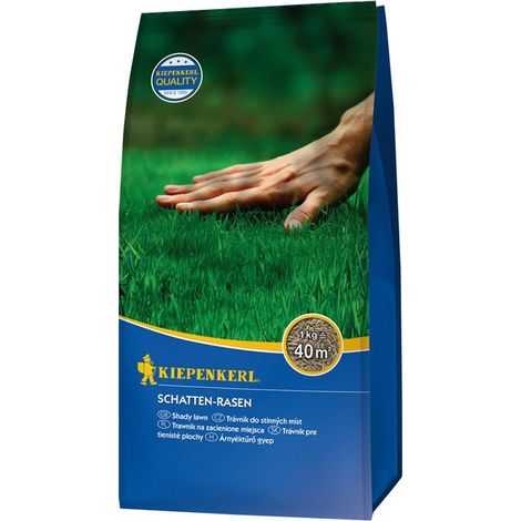 Grano césped especial zona sombrío 1 kg