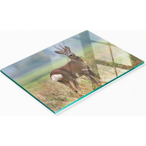 Planche décorative multifonctionnelle pour la cuisine, en verre trempé, motif cerf, 80 x 52 cm (1/5)