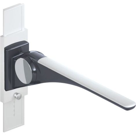 HEWI 802.50.40860 TB poignée d'appui rabattable Basic, 750 mm (1/2)