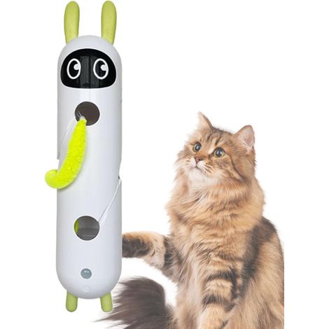 Jouet Interactif pour Chat Automatique Charge USB Jouet pour (1/3)