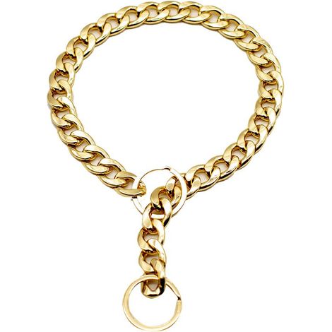 Goldenes Metall-Hundehalsband – Modisches Hundeaccessoire für jede Jahreszeit (1/5)