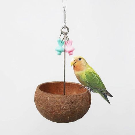 Gamelle suspendue pour oiseaux, mangeoire en noix de coco pour balançoire à coquillages, accessoires pour cage à oiseaux (1/4)
