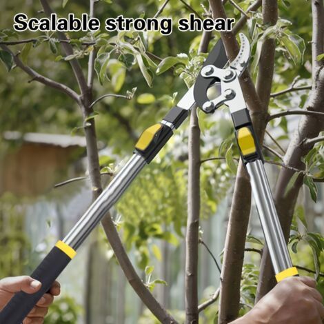 Sécateur télescopique professionnel de dérivation, sécateur de jardin robuste avec corps en métal et poignée ergonomique pour les branches d'arbres fruitiers