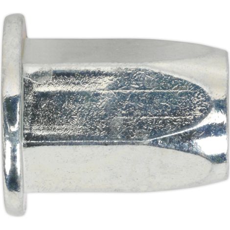 Sealey Full Hex Threaded Insert (Rivet Nut) M6 Standard Flange - Pack of 50 TIFHM6