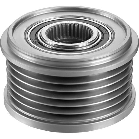 Freilauf für Lichtmaschine – 1 Stück – Hochbelastbarer Stahl – Vibrationsdämpfung – Für Dacia, Renault, Nissan – Ø 55,2 mm (1/4)