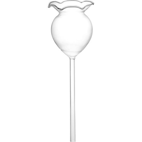 royaluxe -Lot de 4 ampoules d'arrosage pour plantes, piquet de globe à arrosage automatique, goutts d'eau pour plantes en verre transparent soufflé à la main, insert de jardinière d'irrigation automat (1/5)