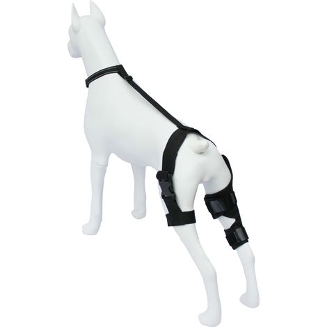 Esta rodillera para perros puede ayudar a los perros a recuperarse de lesiones y aliviar el dolor articular. (1/3)