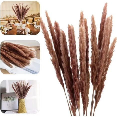 Natürlicher, getrockneter Pampasgras- und Schilfblütenstrauß. Für Wohnaccessoires, Wohnzimmer, Inneneinrichtung, Fotografie, Hotel, Hochzeit, 60 cm (1/5)