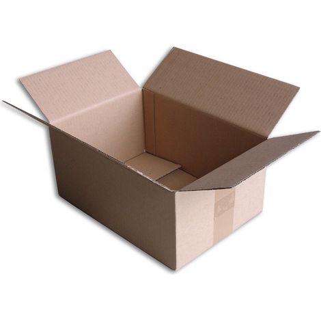 Lot de 1000 Boîtes carton (N°36) format 305x215x140 mm