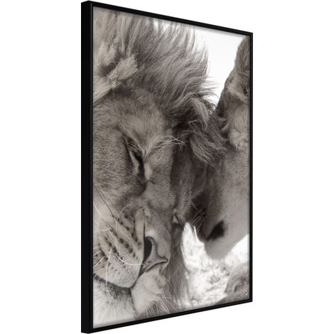 Affiche Murale Encadrée "Predatory Couple" 40 x 60 cm Noir