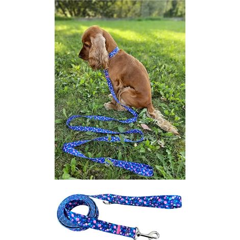 Correa para perros tradicional resistente hecha a mano AstroŚwiat Correa para perros tradicional resistente hecha a mano AstroŚwiat M - 150cm (1/5)