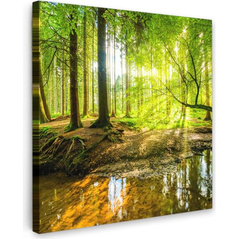 CUADRO EN LIENZO Bosque - Paisaje - Agua - Árboles - Sol - Verde - Naturaleza Decoracion Pared Salon 20x20 cm