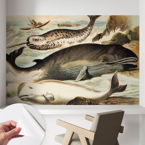 Papier peint autocollant adhésif avec motifs pour salon et chambre accessoire stylé pour votre intérieur Géants marins 104x70 cm (1/5)