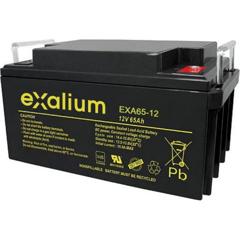 Batterie plomb 12V 65Ah Exalium EXA65-12