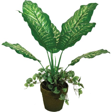 Pianta artificiale dieffenbachia mod. A092KM altezza 55 cm decorazione casa piante finte (1/2)