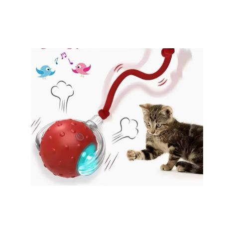 Jouet interactif pour chat – ballon électrique rechargeable et automatique, Mouvement irrégulier, stimulant l’instinct de chasse, adapté aux chats d’intérieur adultes, compatible avec les planchers et (1/5)