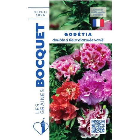 Godétia double à fleur d'azalée varié - 1,5g