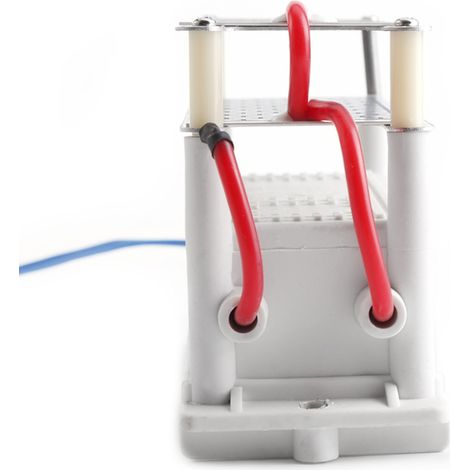 Tragbarer Ozongenerator (10 g/h, 110 V AC) mit integrierter Keramikplatte und Luftsterilisator (1/5)