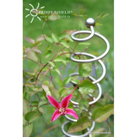 Premium Rankstab Helix (Spirale) Edelstahl / 170 cm (1/5)