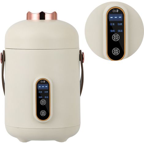 Mini tasse électrique portable multifonctionnelle pour ragoûts, bouillons et laits, idéale pour les préparations saines. Prise CN.