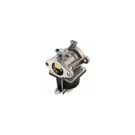Carburateur, filtre à carburant et conduite de carburant pour moteur Tecumseh 640065A 640065, compatible avec les modèles de tondeuses à gazon DEBUNS OHV110, OHV115, OHV120, OHV125, OHV130, OHV135, OV