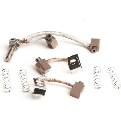 Charbon pour démarreur Briggs & Stratton. 497608 (1/3)