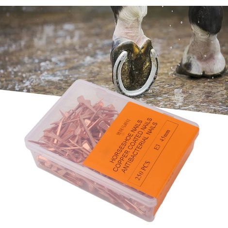 250 clous de fer à cheval cuivrés, clous de fer à cheval, équipement équestre et accessoires pour animaux de compagnie, clous cuivrés de 45 mm, E3 (1/5)
