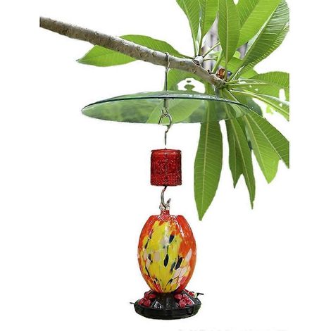 Couvercle de protection en plastique avec déflecteur anti-intempéries pour mangeoires suspendues à oiseaux (1/4)