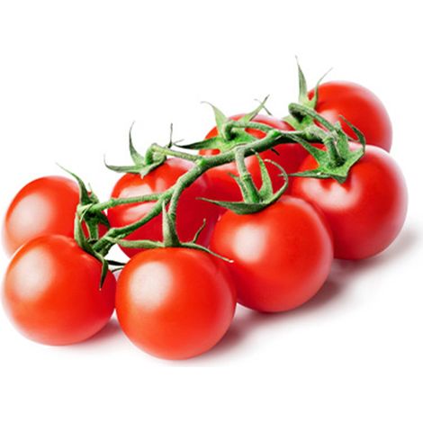 Semi di pomodoro "Tondino maremmano" piante per orto e giardino coltivazione domestica e professionale