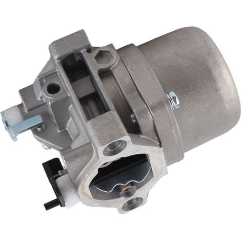 Carburateur moteur pour Briggs & Stratton 285707, 289707, 28B705, 28M707 (1/5)