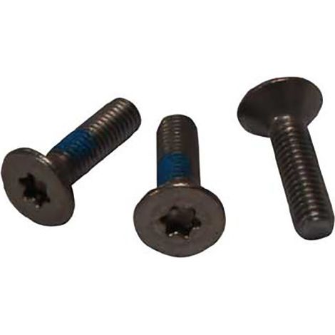 VIS TORX CROISILLON pour LAVE LINGE FAGOR - 55X9968