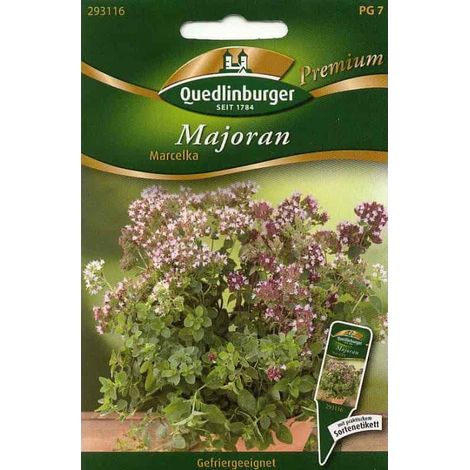 Quedlinburger Majoran Marcelka - Kräutersamen (1/2)