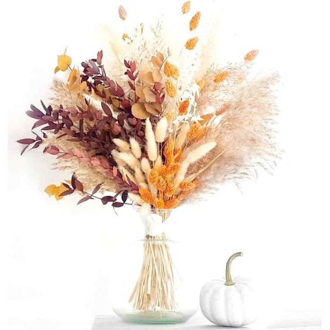 64 Herbes pampa, tiges naturelles 43cm, queues de lapin, décoration mariage, intérieur extérieur (1/5)