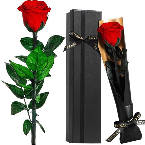 Rose Eternelle Préservée Cadeau pour Femmes pour La Fête des Mères, Fleur Rouge Cadeau Femme, Idee Rosee Cadeau pour Elle, Maman Amie Épouse Sœur Mamie, Cadeau Amour Saint-Valentin (1/5)