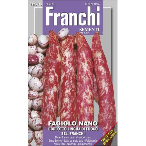 SEMI FAGIOLO NANO LINGUA DI FUOCO FRANCHI