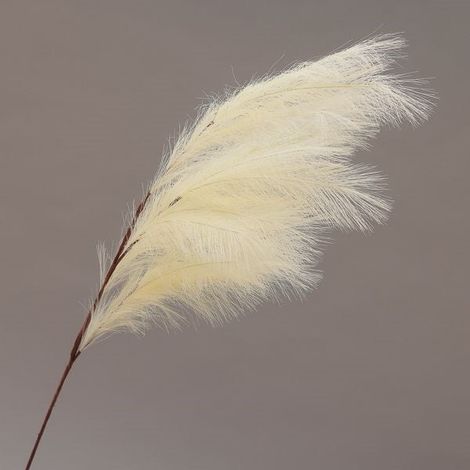 Conti Ramo Pampas 130 Cm Cream
