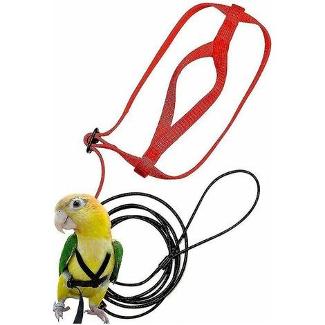 Arnés ajustable para pájaros, arnés para loros, correa, cuerda de entrenamiento anti-mordeduras, arnés de vuelo para exteriores ---XS (1/2)