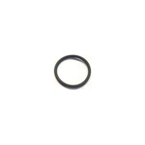 17282581 Guarnizione O-ring per custodia NUOVA Olanda CNH originale