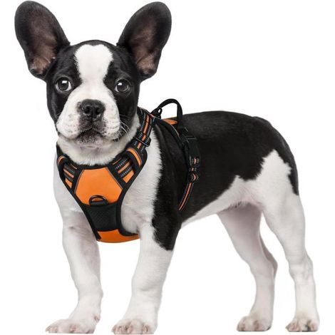 KLVGTIFS PU - Harnais Chien avec 3 Boucles,Facile à Mettre et à Enlever, Harnais Anti Traction pour Chien avec Poignée et Attache Devant,Orange,S (1/4)