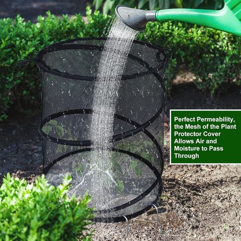 Cloche de protection pop‑up pour plantes, filet anti‑insectes anti‑oiseaux pour légumes et fleurs du jardin, Composition : 1 pièce + 4 piquets en forme de L, Couleur : noir (1/5)