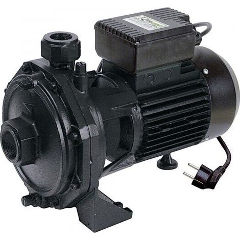 pompa centrifuga per acqua di superficie a doppia turbina 2000w - PRRBK200 - Ribiland (1/5)