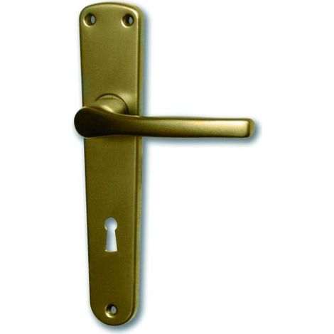 Ghidini MANIGLIA F4 FORO PATENT  dist. 90 8.00 pz