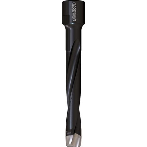 CMT 380.101.11 - Fresa hwm para máquinas domino®-festool® z2 s=m8x1 d=10x70x90 rh