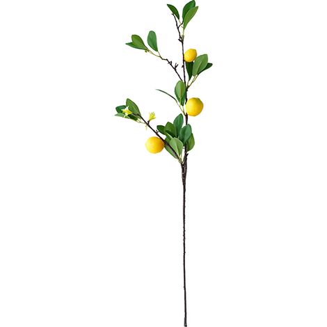 Simulation Branche De Citron Fruit De Citron Multi Tête Branche De Citron Artificielle Plantes De Simulation Et De Verdure Simulation Branche d'arbre Fruitier Mousse Plastique (f) (1/5)