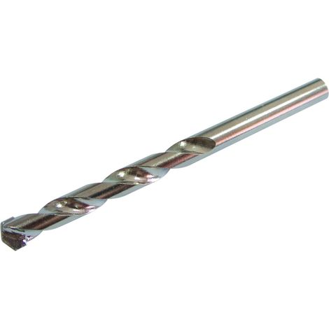 PUNTA PER CALCESTRUZZO 6100MM PROLINE PROLINE 73106 1 pz. (1/2)