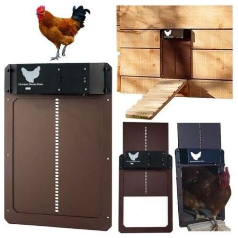Porte automatique pour poulailler étanche IPX4 – Système moteur intégré – Fonctionnement par capteur de lumière – Installation facile (1/4)
