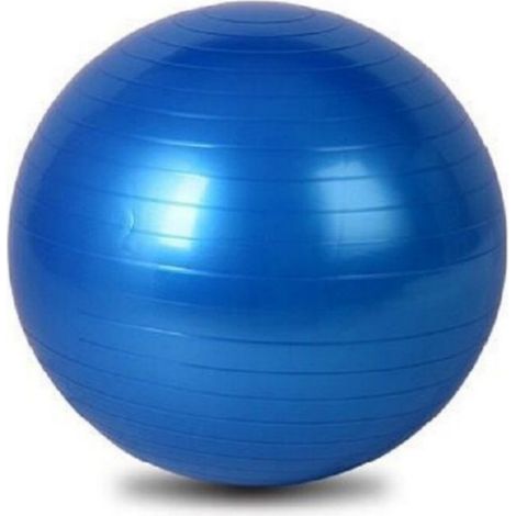 Ce ballon de gym/yoga épais mesure 65 cm de long, est bleu et est fourni avec une pompe à air. Il peut être utilisé à la maison, au bureau et à la salle de sport.